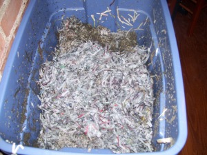 One of the bins with fresh bedding